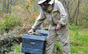 Txantxangorri 155. alea | Portada de Txantxangorri ejemplar 155