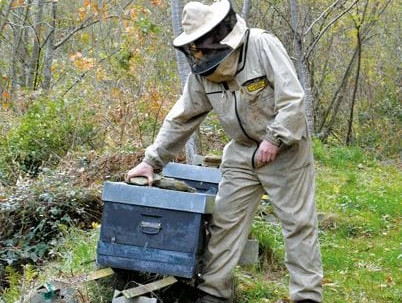 Txantxangorri ejemplar 155 Txantxangorri 155. alea | Portada de Txantxangorri ejemplar 155