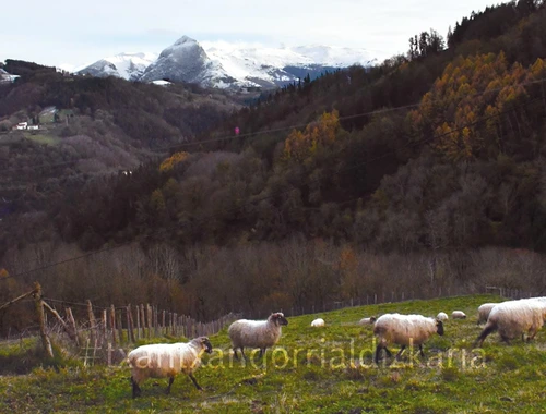 Urkia auzoak Aralar Mendilerroko ikuspegi paregabea eskaintzen du