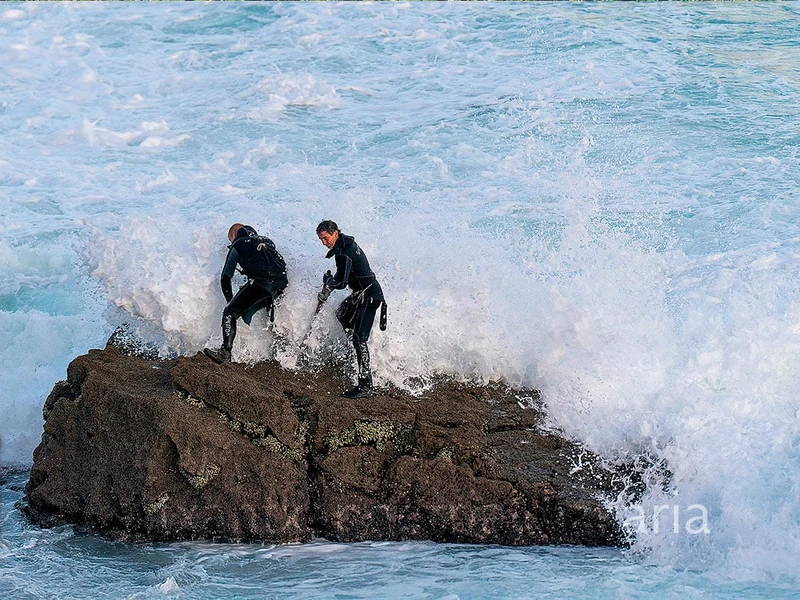 Las fotografías guardadas percebeiros de Bayona