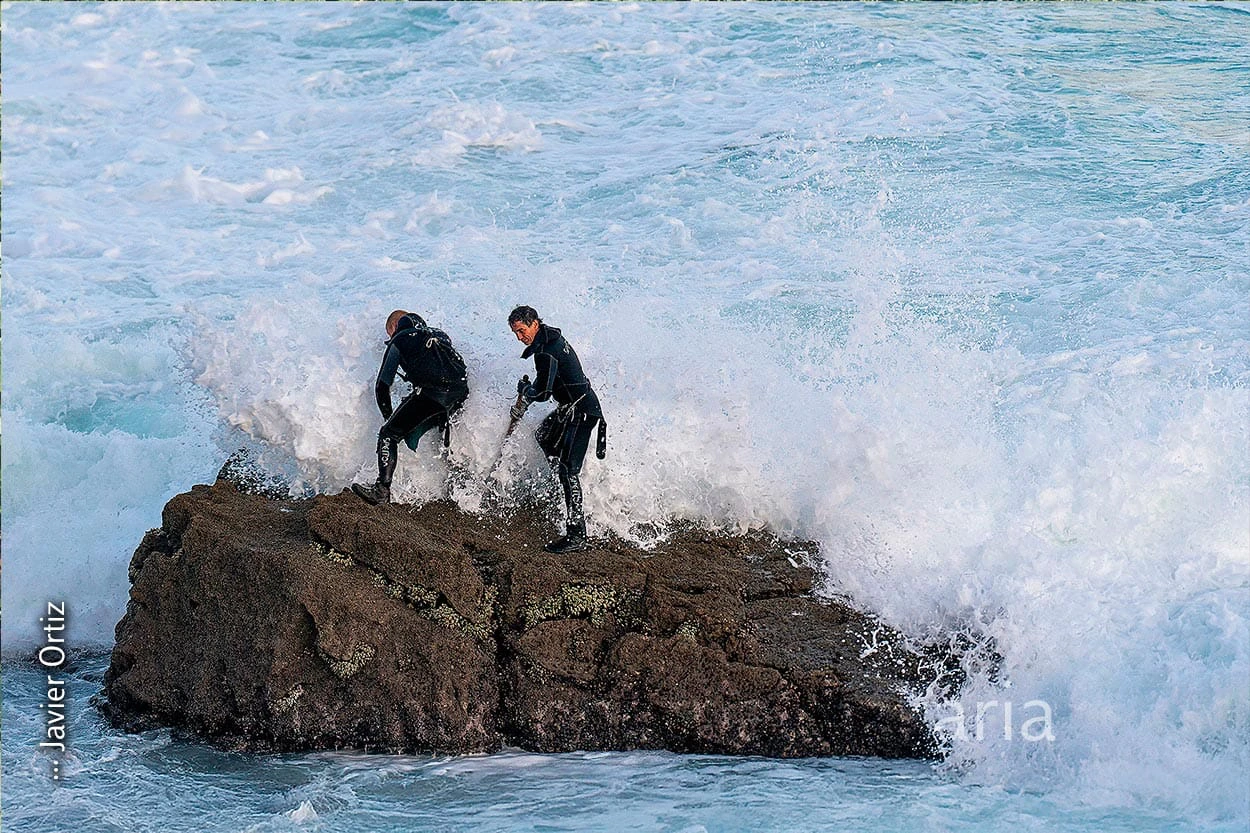Las fotografías guardadas percebeiros de Bayona