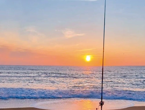 Txantxangorri 157. alea | Ejemplar 157