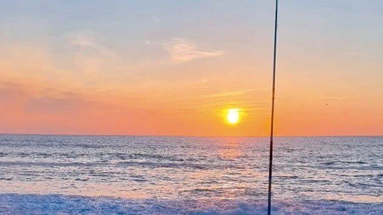 Txantxangorri 157. alea Txantxangorri 157. alea | Txantxangorri ejemplar 157