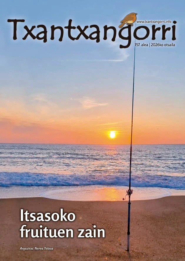 Txantxangorri 157. alea | Txantxangorri ejemplar 157
