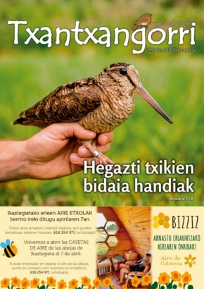 Txantxangorri 159. alea | Txantxangorri ejemplar 159