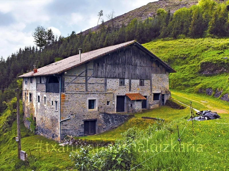 Txapartegi baserria XV-XVI. mende garaikoa