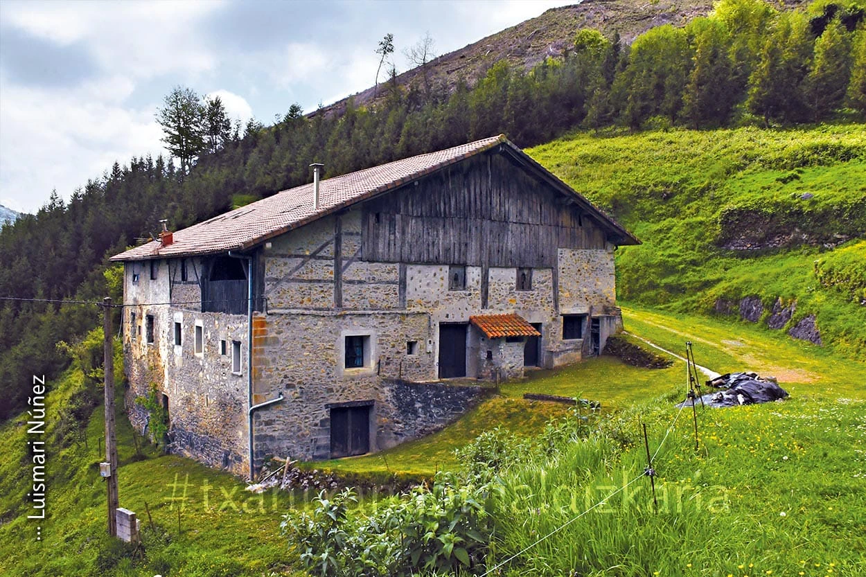 Txapartegi baserria XV-XVI. mende garaikoa